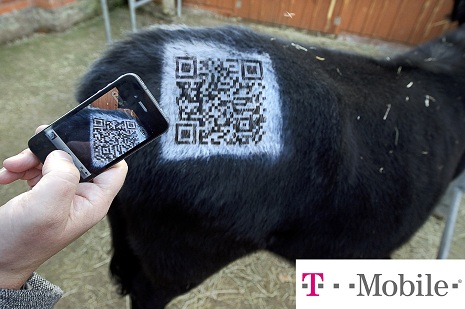 T-Mobile QR Code on a cow
